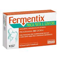 FERMENTIX PANCIA PIA/GONF20CPR