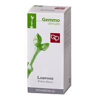 LAMPONE MG 50ML