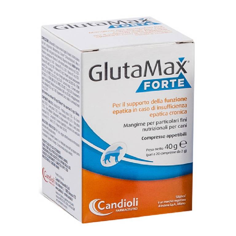 GLUTAMAX FORTE 40CPR